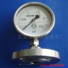 Y-100MF法兰隔膜压力表